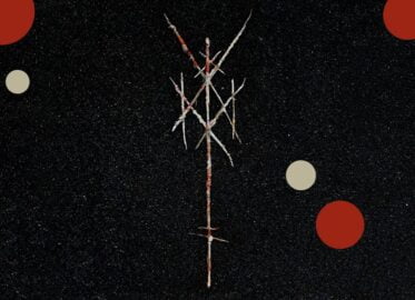 Wiegedood | koncert