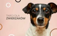 Targi dla Zwierzaków w Poznaniu