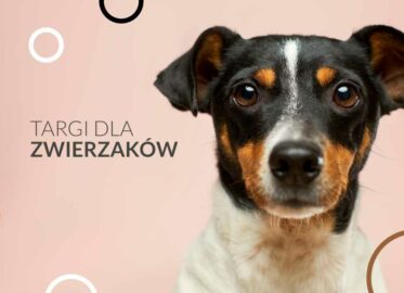 Targi dla Zwierzaków w Poznaniu