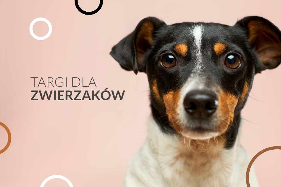 Targi dla Zwierzaków w Poznaniu