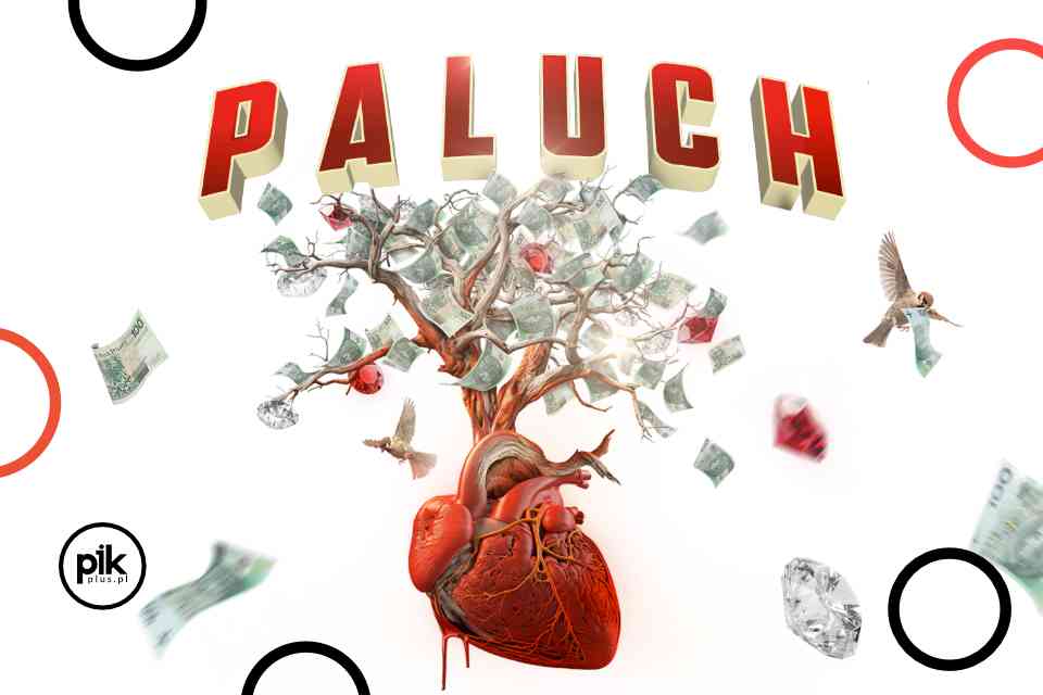 Paluch | koncert