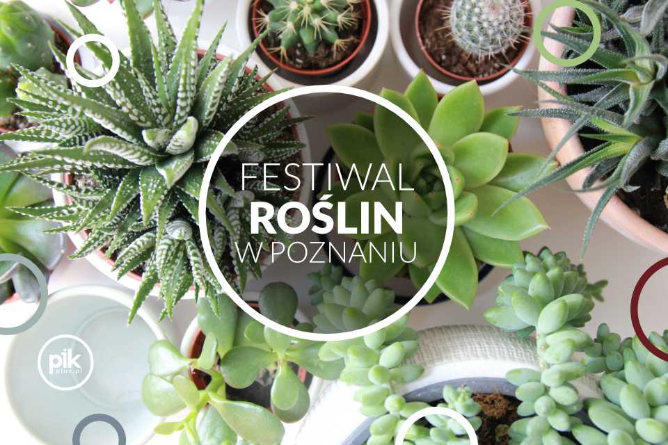 Festiwal Roślin w Poznaniu - 2024 - MTP2