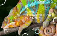 Targi Terrarystyczne w Poznaniu