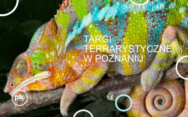 Targi Terrarystyczne w Poznaniu