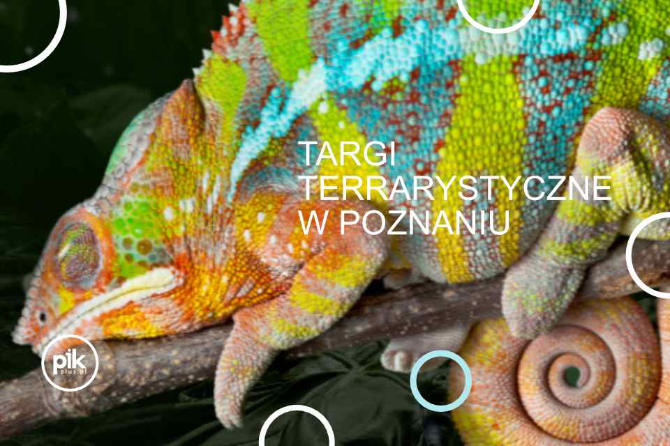 Targi Terrarystyczne w Poznaniu