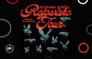 Kosma Król | koncert