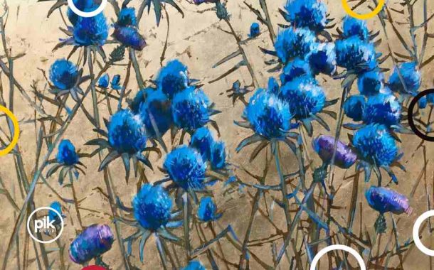 Noc Muzeów 2026 w Galerii Wiele Sztuki