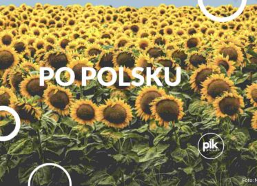 Po polsku | spektakl w Poznaniu - Bilety
