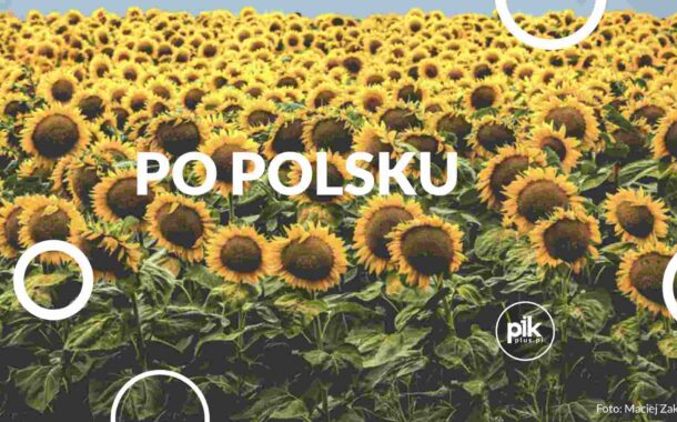 Po polsku | spektakl w Poznaniu - Bilety